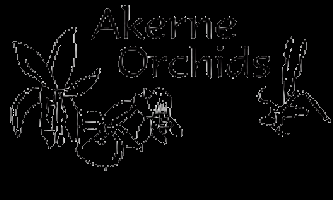 evenementfoto, Akerne Orchids - Opendeurweekend 2012